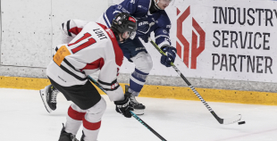 OHL, HK Mogo/RSU - HC Panter