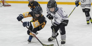 LBJČH (U8) sabraukums, 7.02.2026.