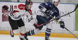 OHL, HK Mogo/RSU - HC Panter