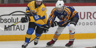 SHAL (sabraukums Jelgavā), SHK Zemgale, Talsu HK, HC Klaipeda Girls, SHK Ventspils, HK Tukums