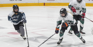 SHAL (sabraukums Jelgavā), SHK Zemgale, Talsu HK, HC Klaipeda Girls, SHK Ventspils, HK Tukums