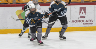 SHAL (sabraukums Jelgavā), SHK Zemgale, Talsu HK, HC Klaipeda Girls, SHK Ventspils, HK Tukums