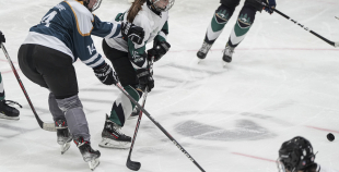 SHAL (sabraukums Jelgavā), SHK Zemgale, Talsu HK, HC Klaipeda Girls, SHK Ventspils, HK Tukums