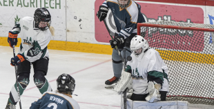 SHAL (sabraukums Jelgavā), SHK Zemgale, Talsu HK, HC Klaipeda Girls, SHK Ventspils, HK Tukums