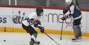 SHAL (sabraukums Jelgavā), SHK Zemgale, Talsu HK, HC Klaipeda Girls, SHK Ventspils, HK Tukums