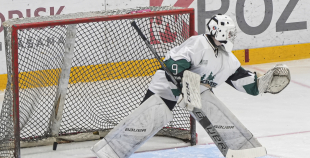 SHAL (sabraukums Jelgavā), SHK Zemgale, Talsu HK, HC Klaipeda Girls, SHK Ventspils, HK Tukums