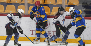 SHAL (sabraukums Jelgavā), SHK Zemgale, Talsu HK, HC Klaipeda Girls, SHK Ventspils, HK Tukums