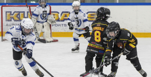 LBJČH (U8) sabraukums, 7.02.2026.