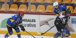 SHAL (sabraukums Jelgavā), SHK Zemgale, Talsu HK, HC Klaipeda Girls, SHK Ventspils, HK Tukums