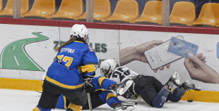 SHAL (sabraukums Jelgavā), SHK Zemgale, Talsu HK, HC Klaipeda Girls, SHK Ventspils, HK Tukums