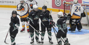 SHAL (sabraukums Jelgavā), SHK Zemgale, Talsu HK, HC Klaipeda Girls, SHK Ventspils, HK Tukums