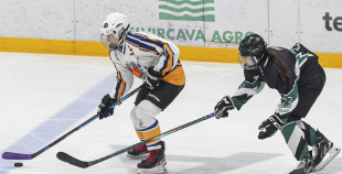 SHAL (sabraukums Jelgavā), SHK Zemgale, Talsu HK, HC Klaipeda Girls, SHK Ventspils, HK Tukums