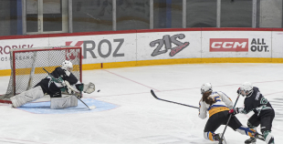 SHAL (sabraukums Jelgavā), SHK Zemgale, Talsu HK, HC Klaipeda Girls, SHK Ventspils, HK Tukums