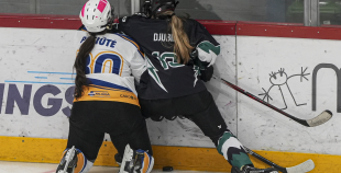 SHAL (sabraukums Jelgavā), SHK Zemgale, Talsu HK, HC Klaipeda Girls, SHK Ventspils, HK Tukums