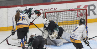 SHAL (sabraukums Jelgavā), SHK Zemgale, Talsu HK, HC Klaipeda Girls, SHK Ventspils, HK Tukums