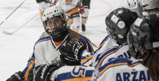 SHAL (sabraukums Jelgavā), SHK Zemgale, Talsu HK, HC Klaipeda Girls, SHK Ventspils, HK Tukums