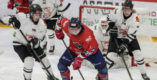 HK Prizma - Hockey Punks