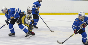 LBJČH (U12), Rīgas HS 2014 - Zibeņi, 10.01.2026.