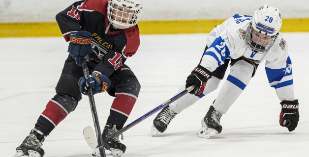 LBJČH (U11), sabraukums, 8.03.2026.