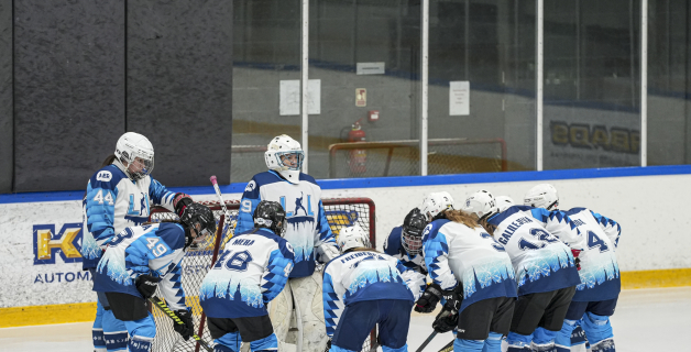 (SHAL) SHK Kurbads/Lauvas - SHK L&L