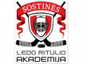 VLN logo