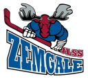 JLSS U-13 B logo