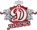 Dinamo Juniors logo