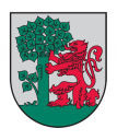 LIE logo