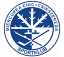CSI logo