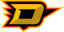 DSS logo