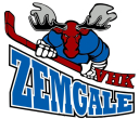 Zemgaļi