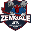 ZMG logo