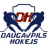 DSS logo
