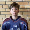 Adrians KOZLOVS