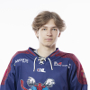 Aleks Elians ĻEONOVS