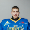 Aleksejs DOLMATOVS