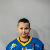 Alekss LARINS