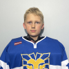 Andrejs ŠELAPUGINS