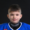 Andris VIĻUMSONS