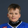 Ārens DZENIS