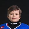Ārens DZENIS