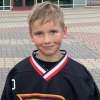 Arvis VELIKS