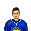 Daniil VYSTAVNYI