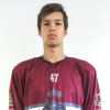 Daniils TARVIDS
