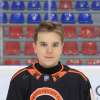 Dāvis STIVRIŅŠ