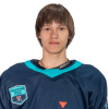 Denys PLESOVSKYKH