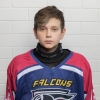 Dmitrii GAVRIKOV