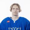 Dmitrijs ĻEINS