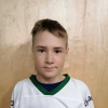 Domeniks MARTINOVS   VĪNKALNS
