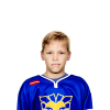 Dominiks CORNDORFS